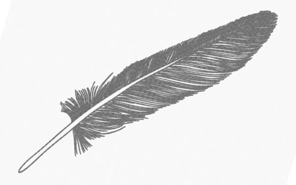 Feather One Line Review